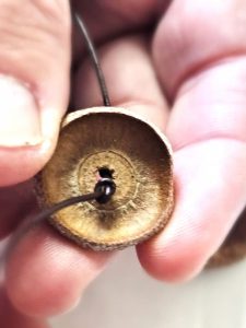knot-inside-cap