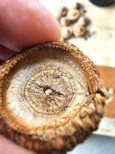 me-showing-drilled-hole-inside-of-cap