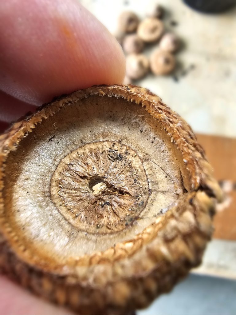 drilled-hole-inside-of-cap