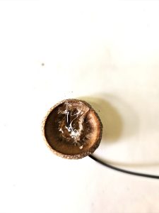 glue-added-inside-of-cap
