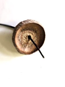 wire-through-the-inside-of-cap