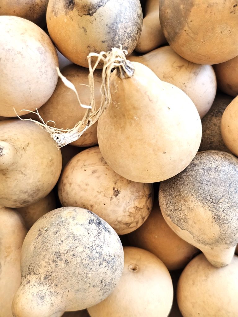 closer-look-at-dried-gourds