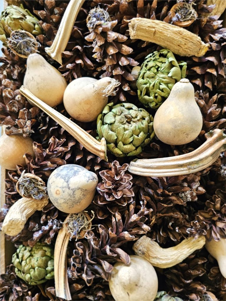 dried-artichokes-dried-gourds-pinecones-pumpkin-stems-walnut-shell-havles