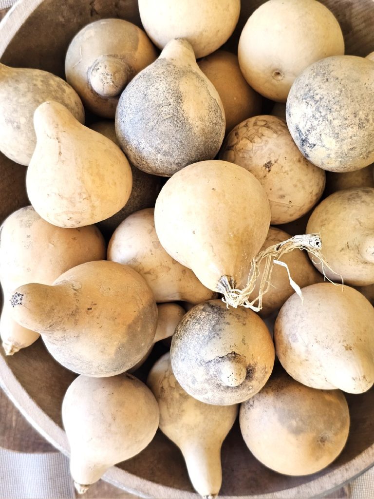 early-fall-decorating-ideas-for-a-cozy-home-now-dried-gourds-close-up-in-a-bowl