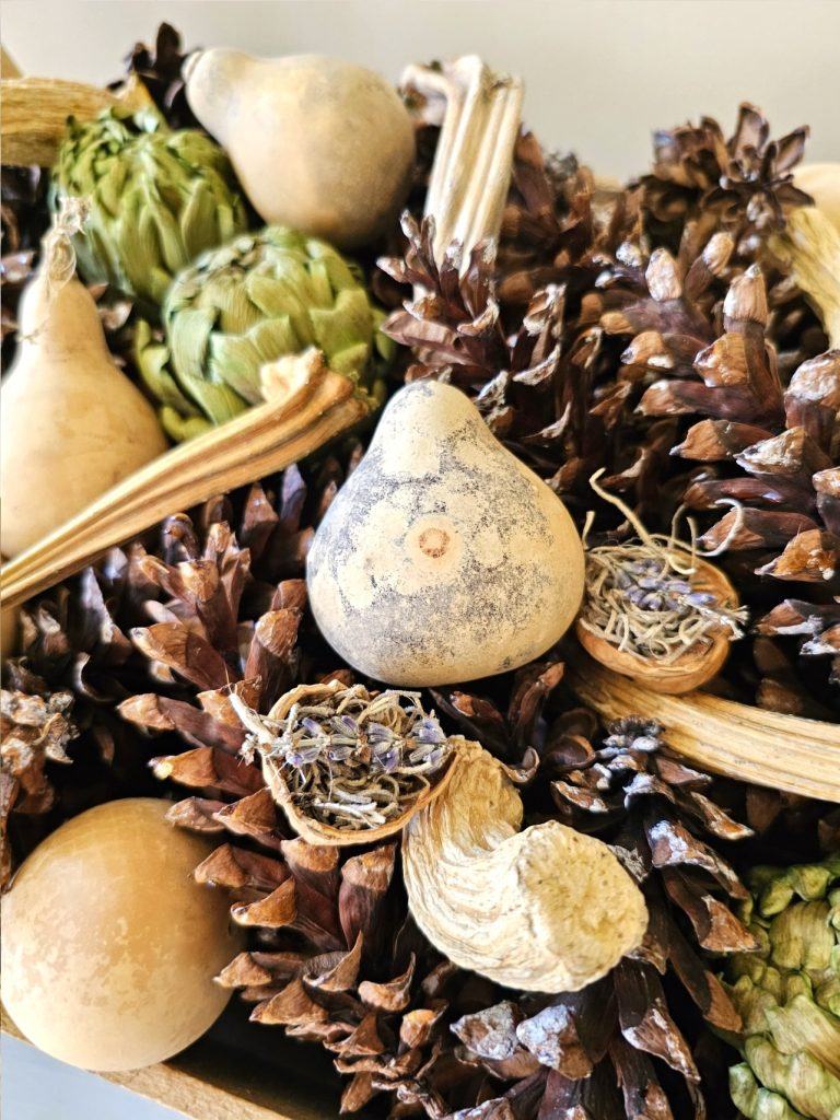 dried-gourds-dried-artichokes-pinecones-half-walnut-shells-spanish-moss-dried-lavender