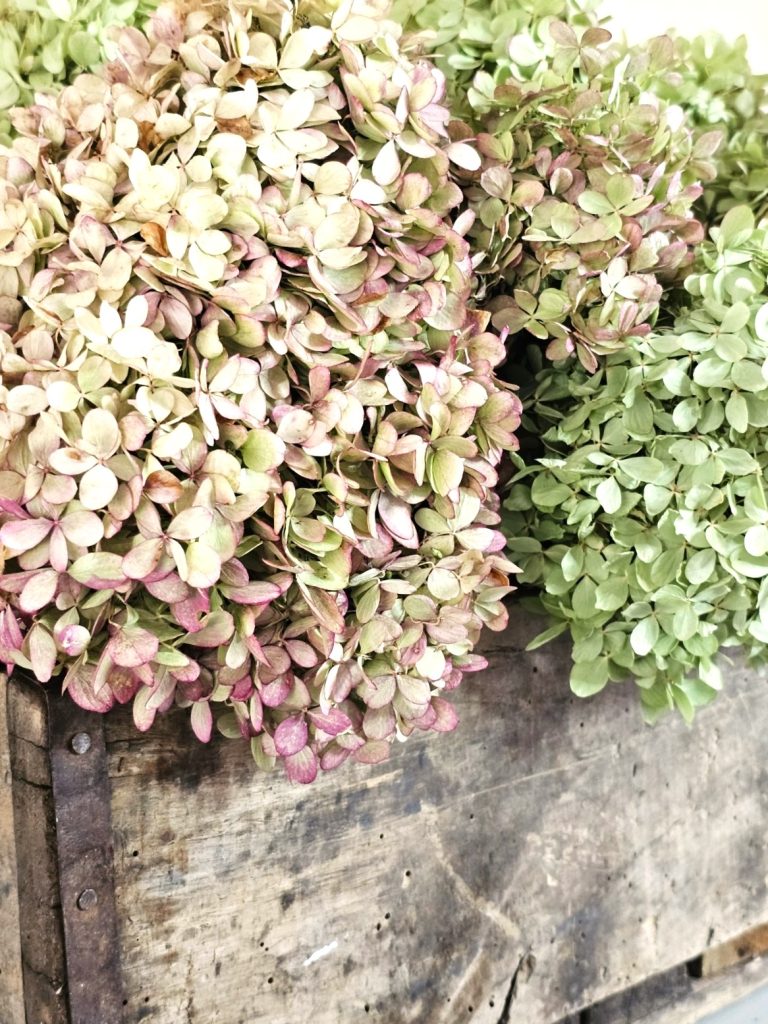 early-fall-decorating-ideas-for-a-cozy-home-now-dried-hydrangeas-in-wooden-crate