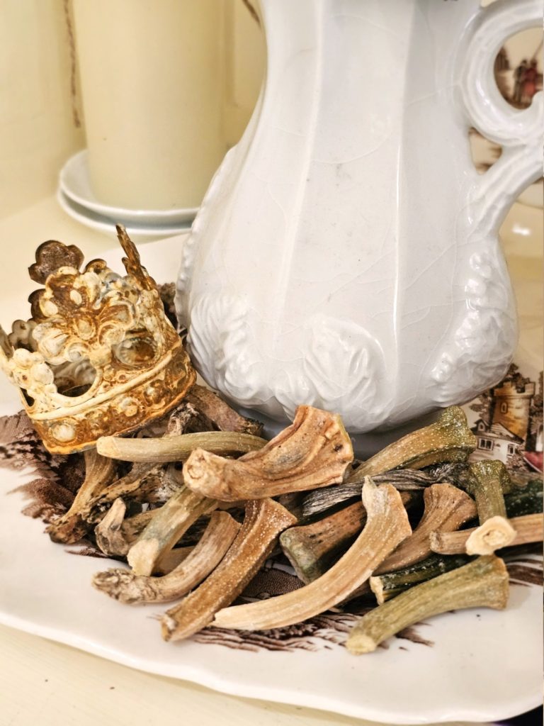 dried-pumpkin-stems-small-crown