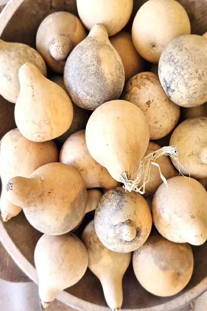 dried-gourds
