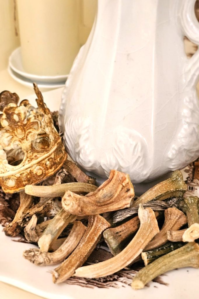 dried-pumpkin-stems