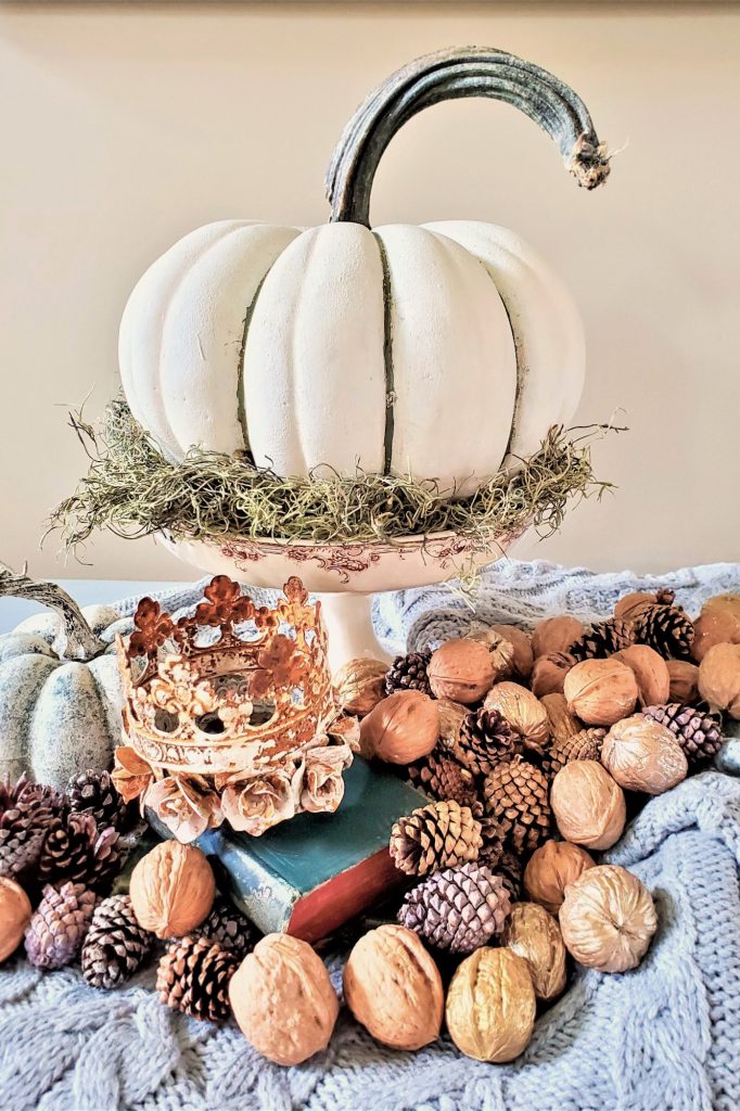 pumpkin-nuts-pinecones