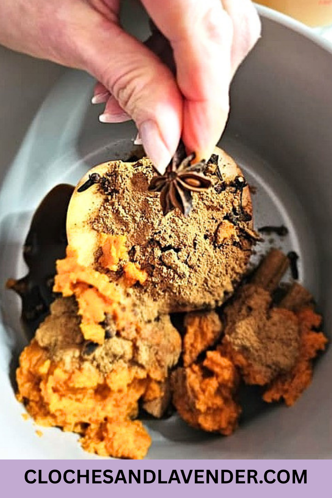 EASY-PUMPKIN-SPICE-SIMMER-POT-PIN
