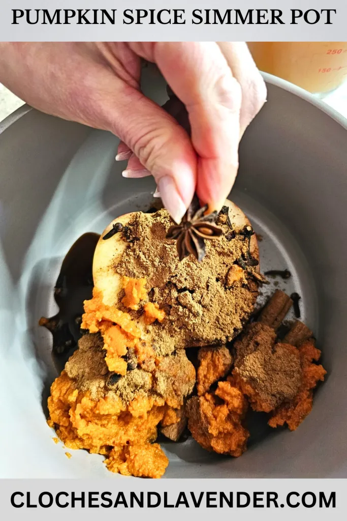 PUMPKIN SPICE SIMMER POT PIN