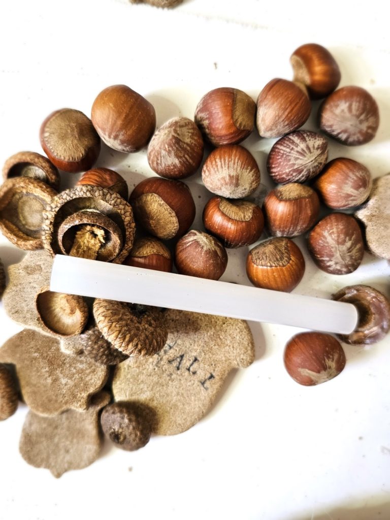 glue-sticks-hazelnuts-salt-dough-pieces