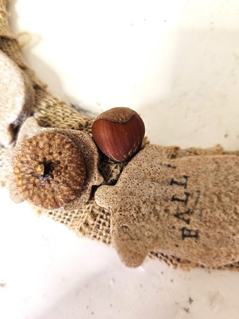hazelnut-and-acorn-cap-glued