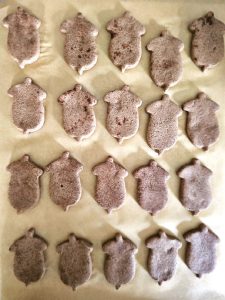 acorns-on-cookie-sheet