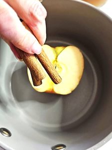 easy-pumpkin-spice-simmer-pot-me-adding-cinnamon