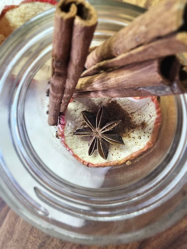 spices-apple-in-mason-jar-a-gift