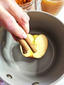 adding-cinnamon