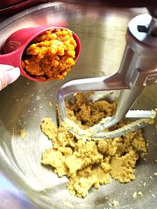 adding-pumpkin-to-mixer