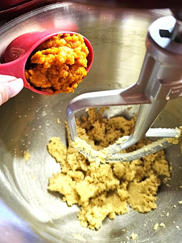 adding-pumpkin-to-mixer