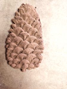 molded-cinnamon-salt-dough-ornaments-to-make-now-first-pinecone-cookie-made