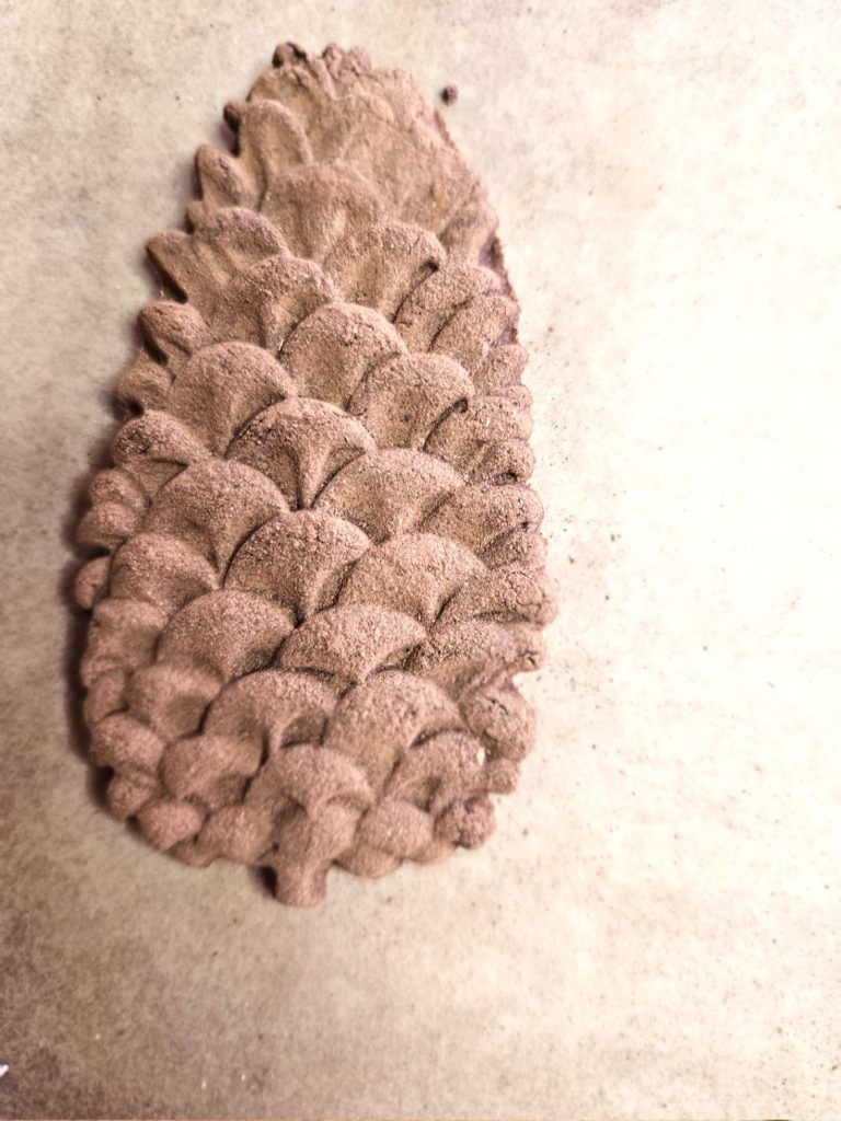 first-pinecone-cookie-made