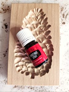 molded-cinnamon-salt-dough-ornaments-to-make-now-pinecone-mold-and-scented-oil