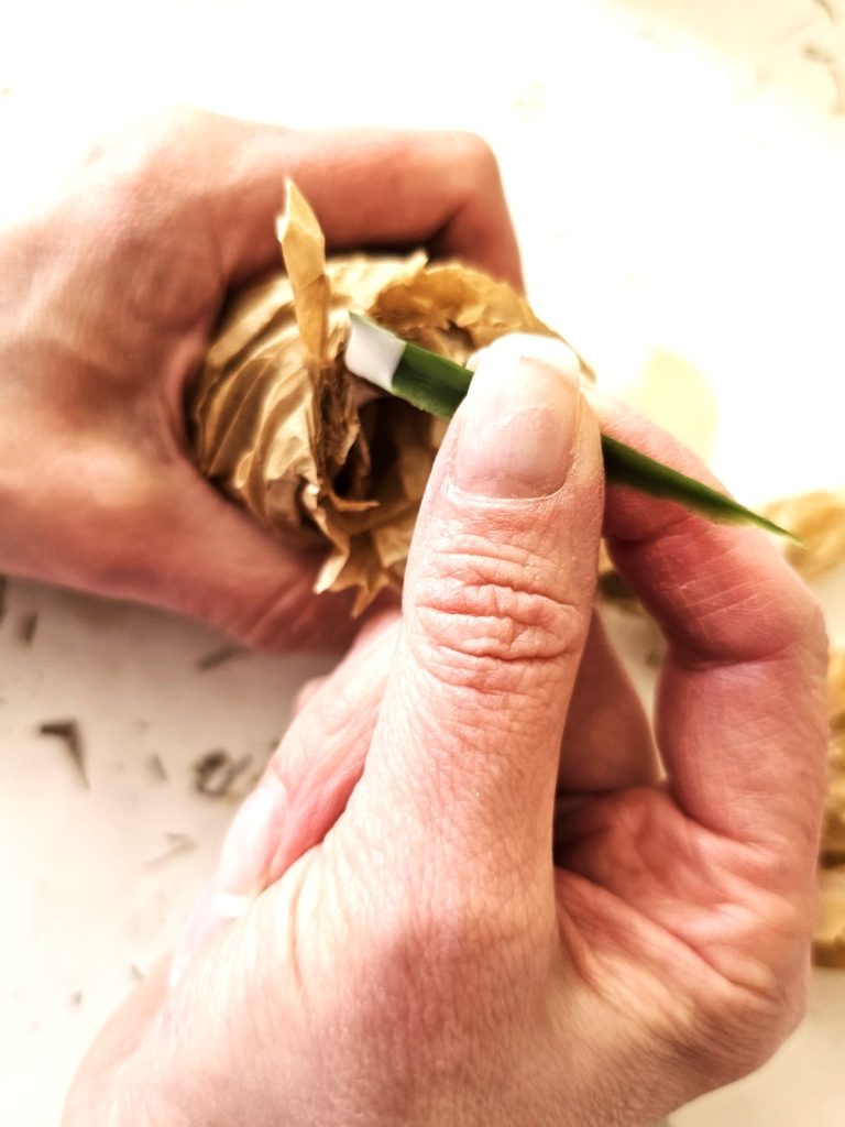 adding-stem-into-bulb-top