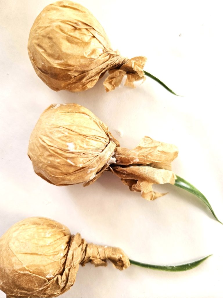 make-your-own-faux-spring-planter-quick-and-gorgeous-glue-on-the-outside-of-the-bulbs-and-drying