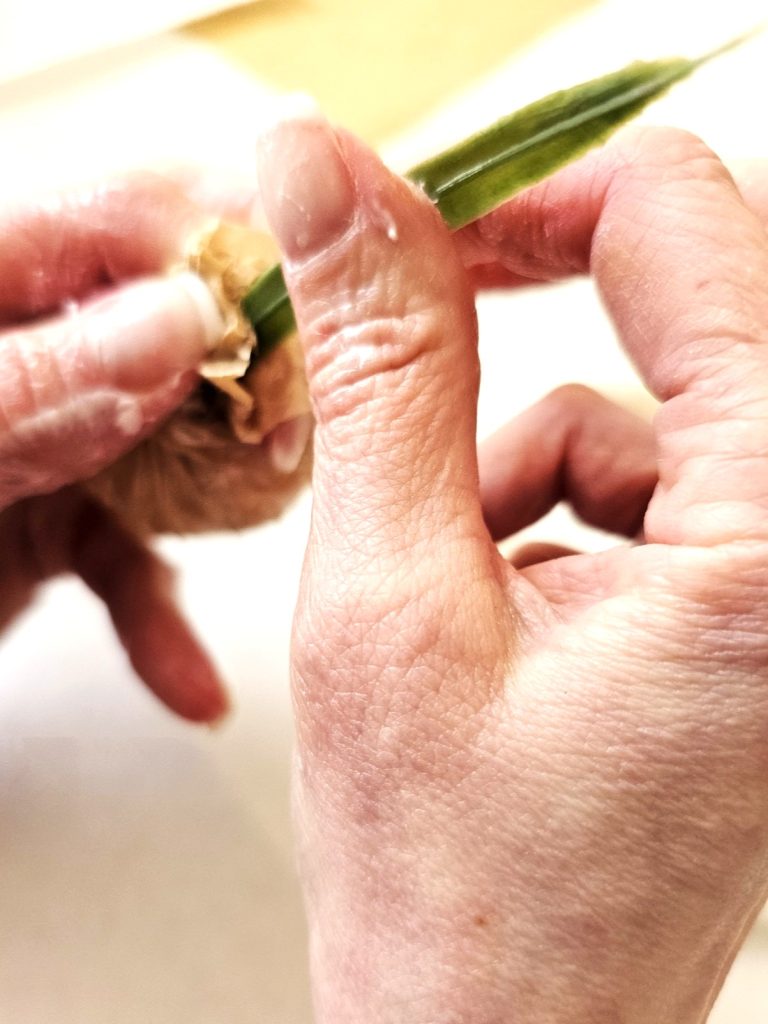 make-your-own-faux-spring-planter-quick-and-gorgeous-pushing-stem-further-into-bulb-top