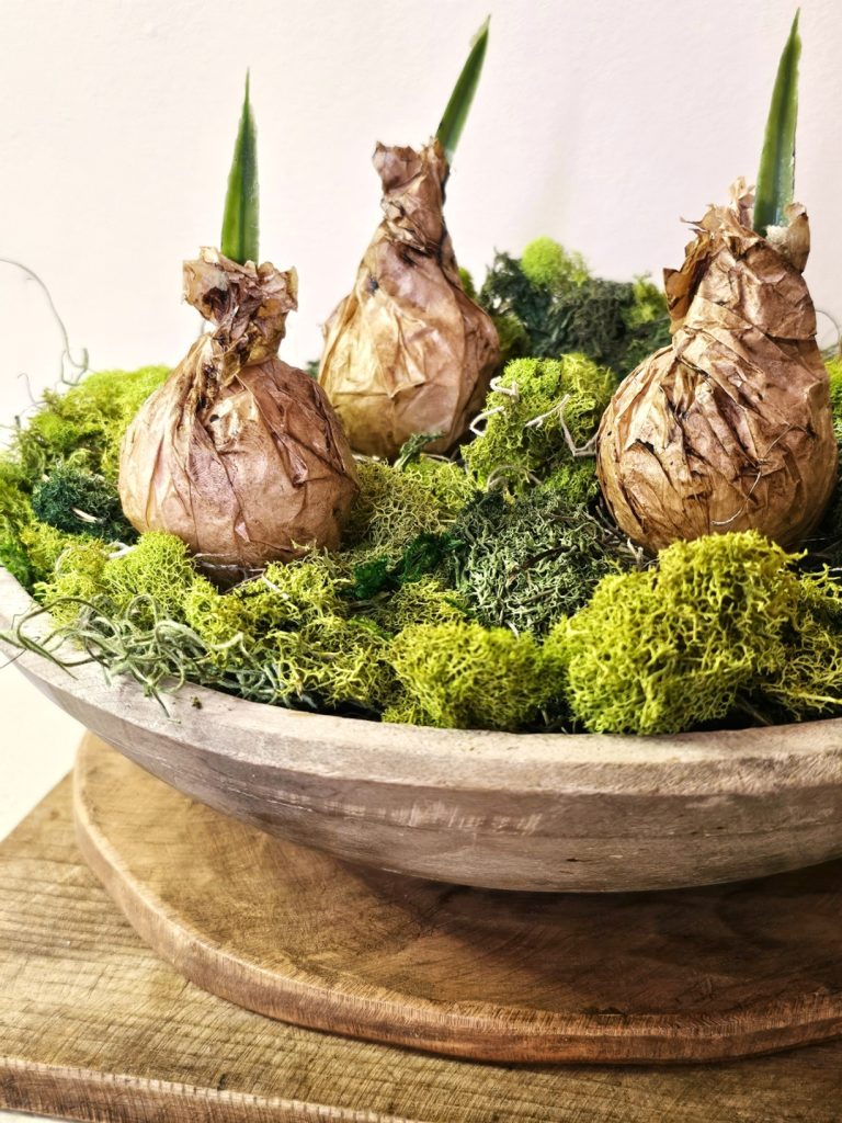 make-your-own-faux-spring-planter-quick-and-gorgeous-showing-bulbs-finished-in-a-wood-dough-bowl-with-moss