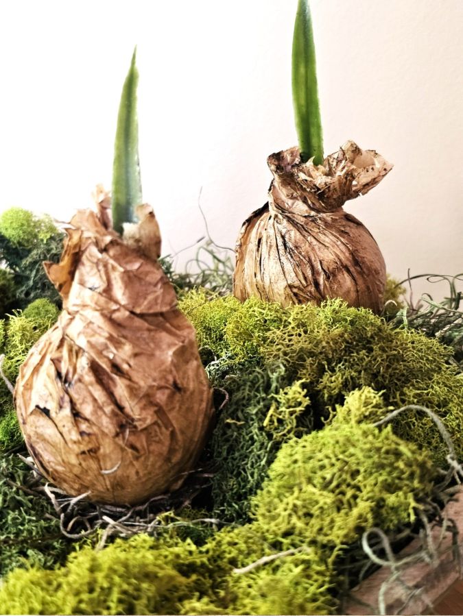 Make Your Own Faux Spring Planterâ€”Quick & Gorgeous!