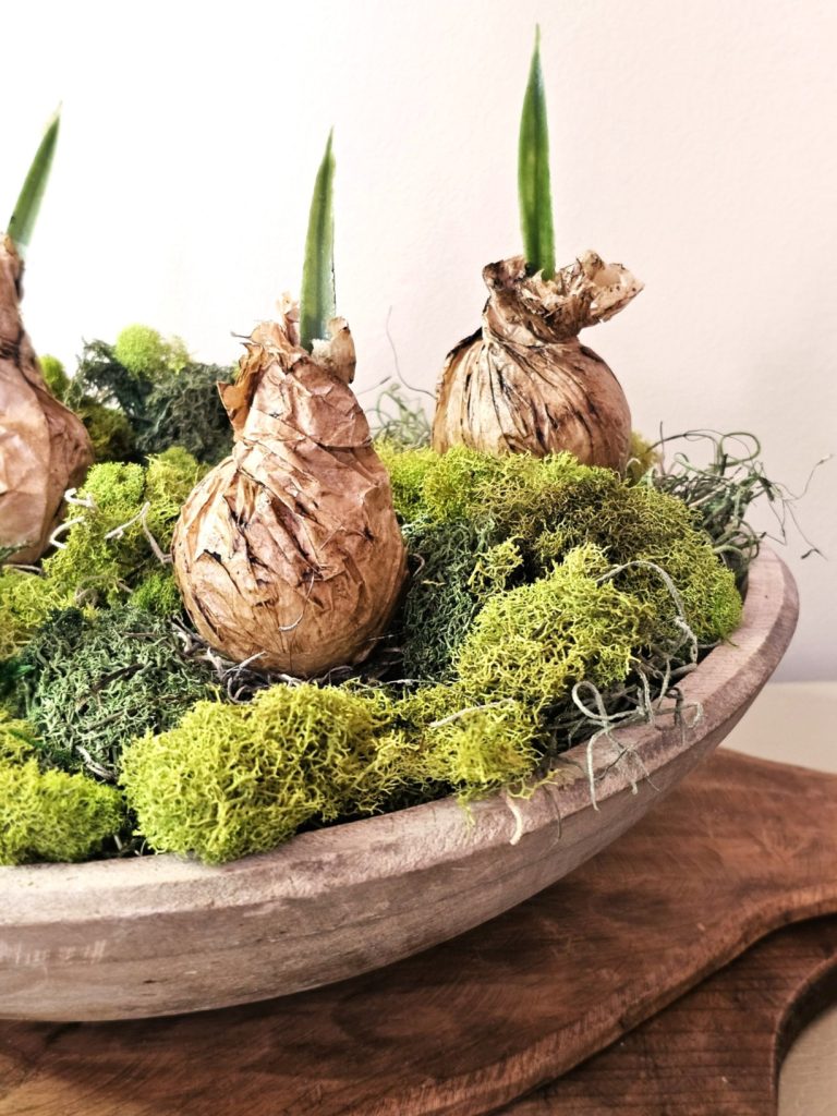 showing-two-bulbs-finished-in-wood-dough-bowl-sitting-on-bread-boards-with-green-moss