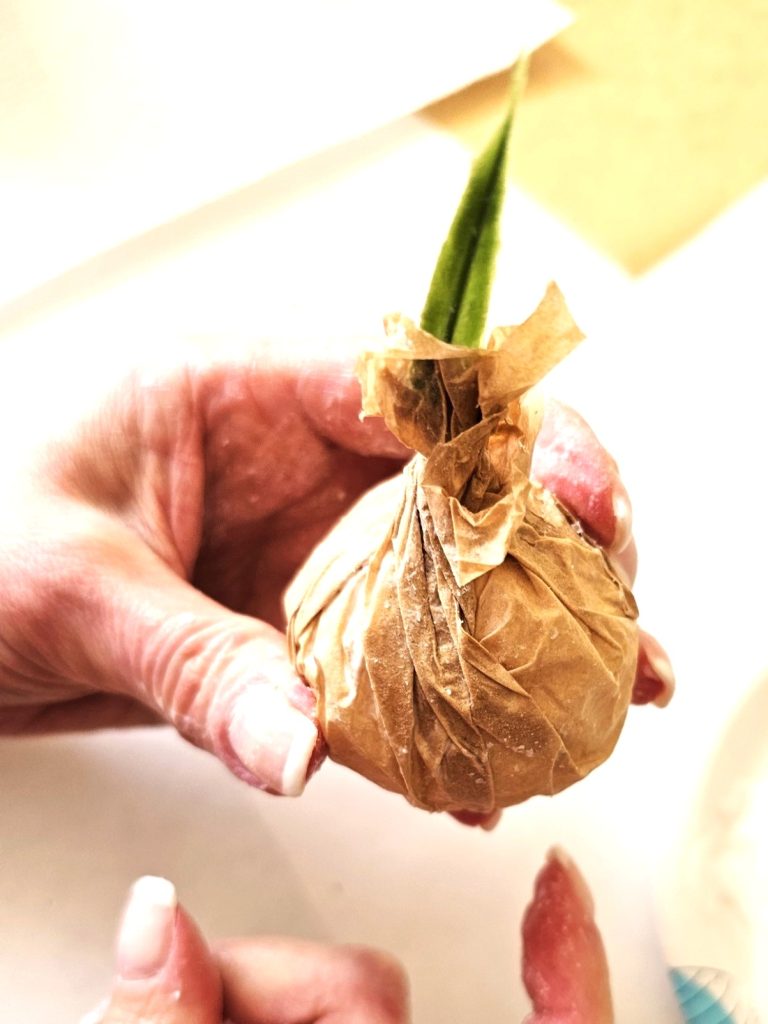 stem-added-to-bulb-top