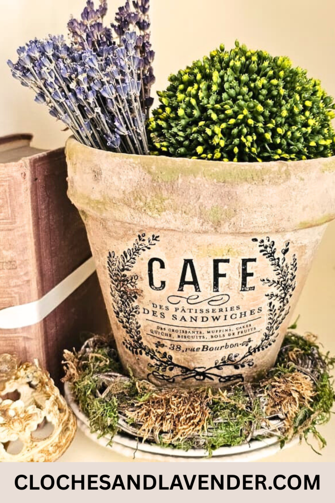 EASILY-AGE-TERRACOTTA-POTS-USING-LIME-PIN