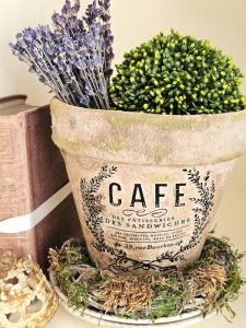 easily-age-terracotta-pots-using-lime-closer-look-at-pot-with-rub-on-transfer-featured-image