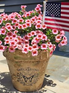 pot-outside-with-a-plant-and-flag-and-rub-on-trannsfer