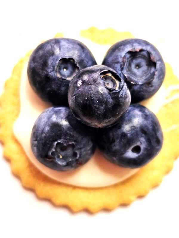 blueberries-stacked-on-cookie