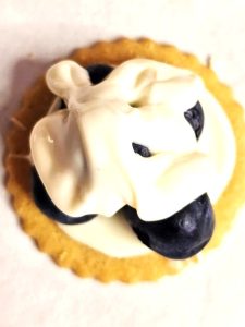 top-coating-of-chocolate-over-blueberries