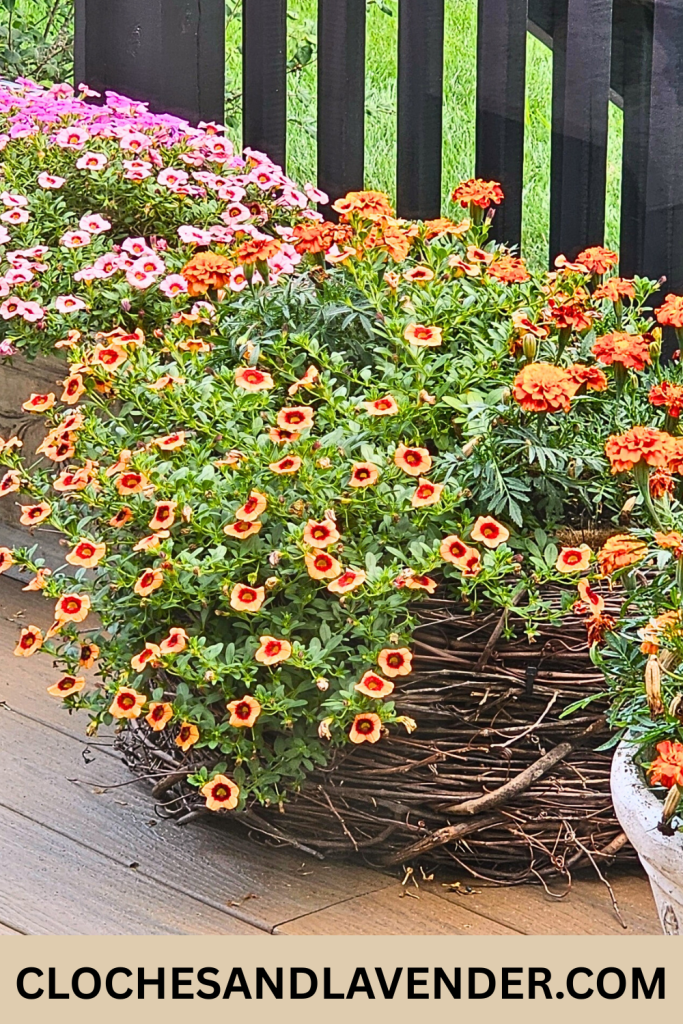 DIY GRAPEVINE PLANTER PIN