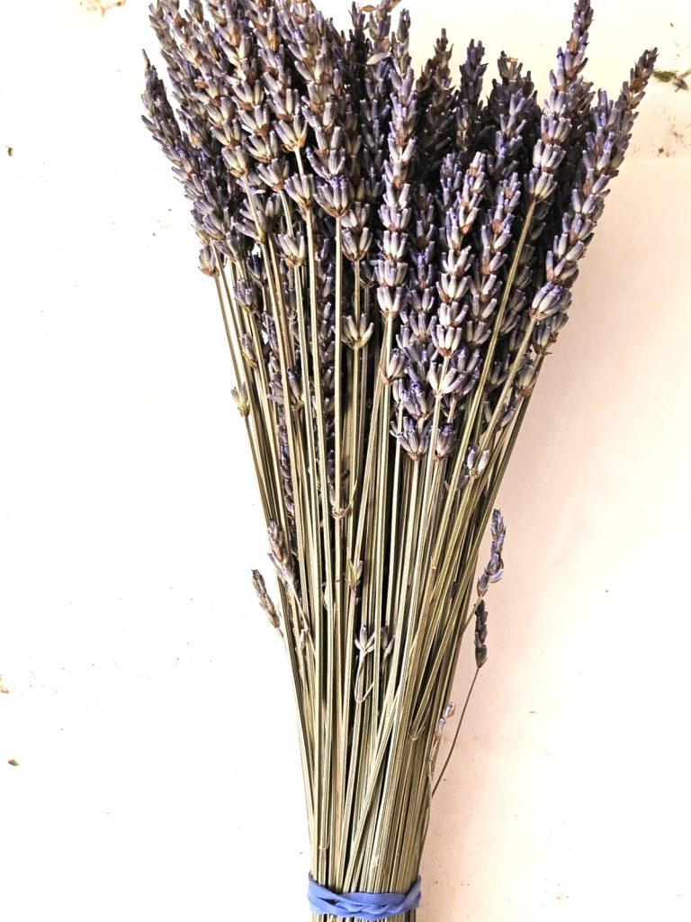 dried-lavender-for-peat-pot