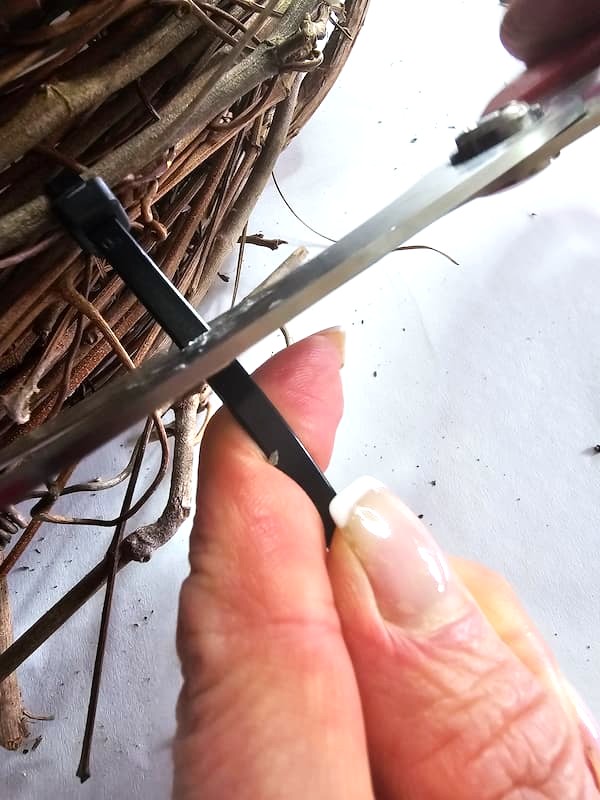 cutting-the-end-of-plastic-tie-with-a-scissor