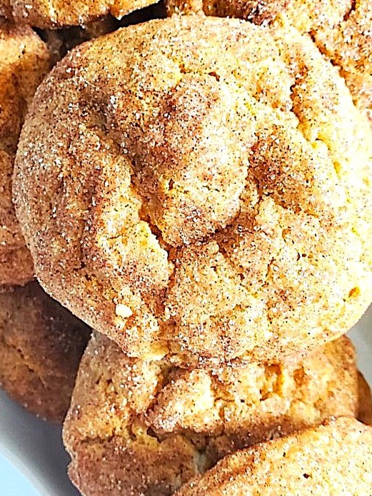 pumpkin-spice-brown butter- snickerdoodles-featured-image