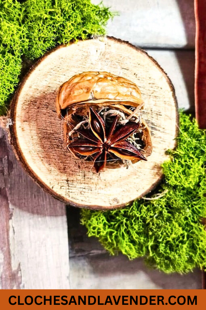 DIY Natural Wreath with Organic Touches for Fall & Winter pin