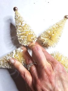 me-holding-last-tree-to-set