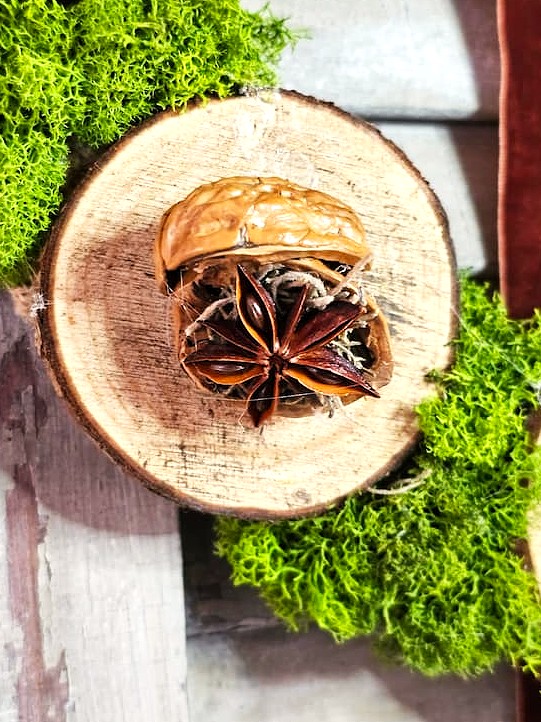 close-look-at-walnut-and-anise
