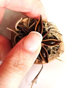 me-holding-anise-to-set