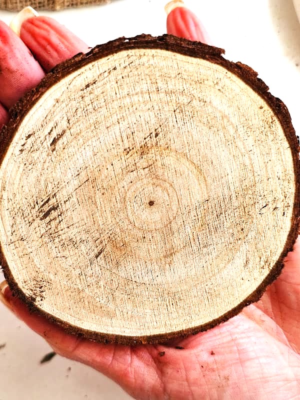 showing-wood-slice-after-dry-brushing