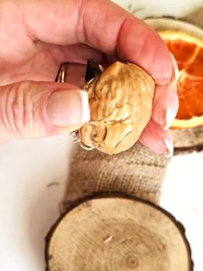 me-showing-shell-with-glue-added