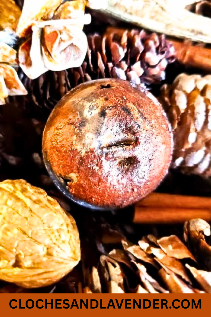 Spice Up Jingle Bells with Cinnamon & Mod Podge PIN